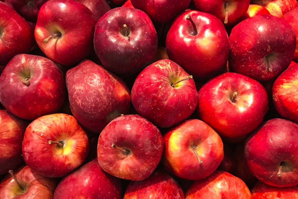 bunch of red apples