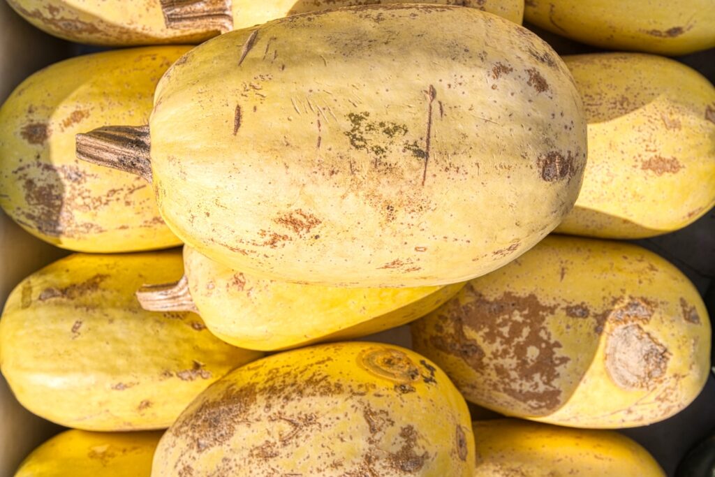 Closeup of Ripe Spaghetti Squash in a Market Display - A group of ripe spaghetti squash, each with a slightly different shape and texture, are stacked neatly in a market display. They are a bright yellow color and appear to be ready for sale.